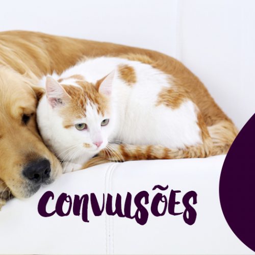 Convulsões