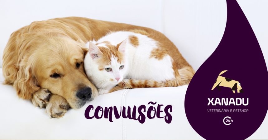 Convulsões Convulsões