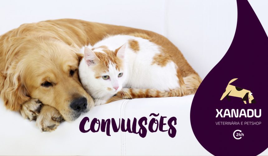 Convulsões