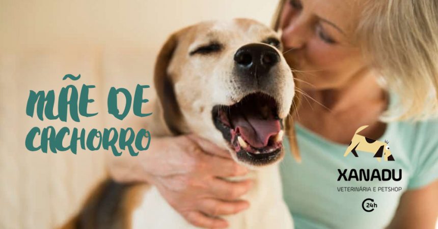 Mãe de cachorro: o que você ainda não sabe sobre essa missão Mãe de cachorro: o que você ainda não sabe sobre essa missão