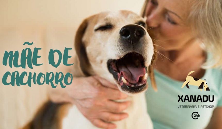 Mãe de cachorro: o que você ainda não sabe sobre essa missão