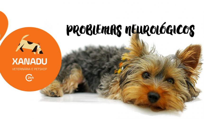 Problemas Neurológicos: podem aparecer em função de infecções ou causa genética