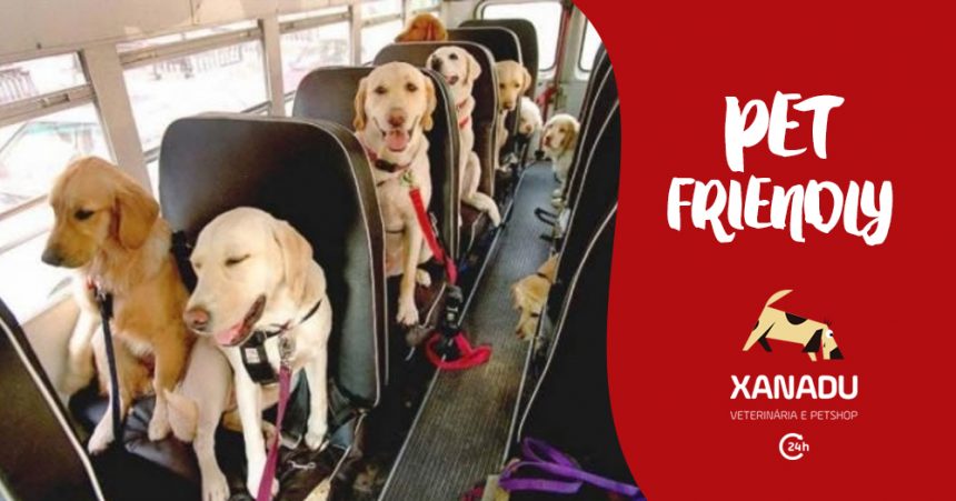 Locais PET FRIENDLY no Rio: onde você e seu cachorro são bem vindos Locais PET FRIENDLY no Rio: onde você e seu cachorro são bem vindos