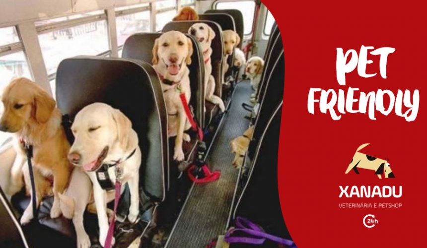 Locais PET FRIENDLY no Rio: onde você e seu cachorro são bem vindos