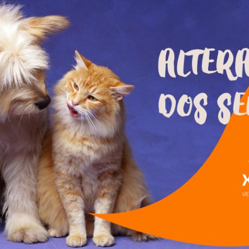 Alteração dos sentidos