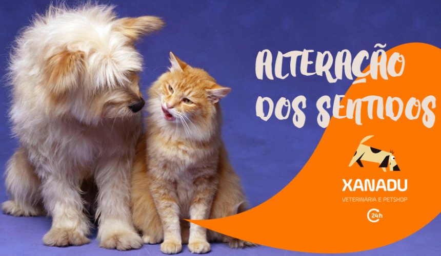 Alteração dos sentidos