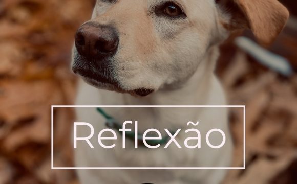 Reflexão