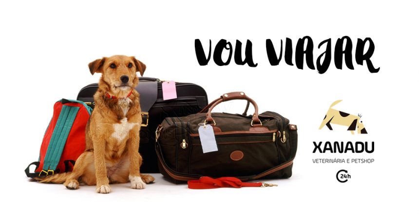 Vou viajar: o cachorro vai ou fica? Vou viajar: o cachorro vai ou fica?