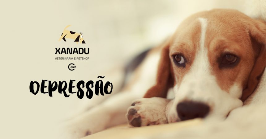 Cachorro tem depressão?