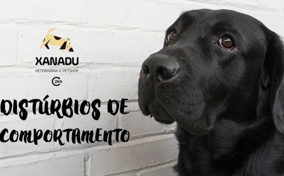 Distúrbios comportamentais em pets