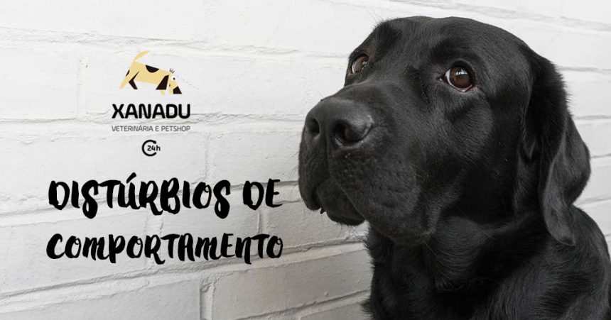 Distúrbios comportamentais em pets