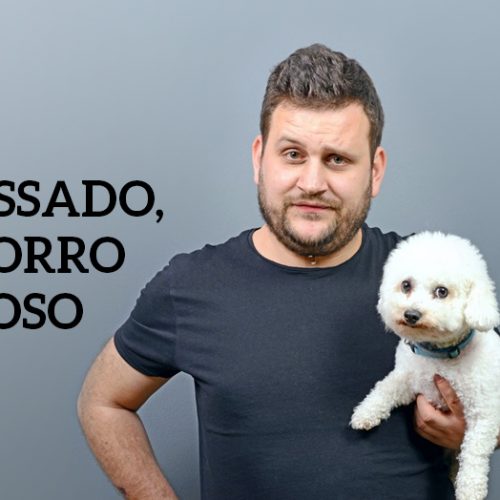 Dono estressado, cachorro nervoso