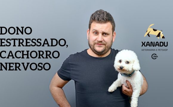 Dono estressado, cachorro nervoso