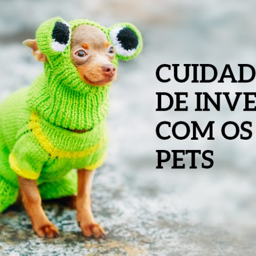 Cuidados de Inverno