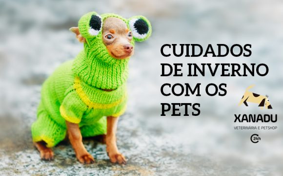 Cuidados de Inverno