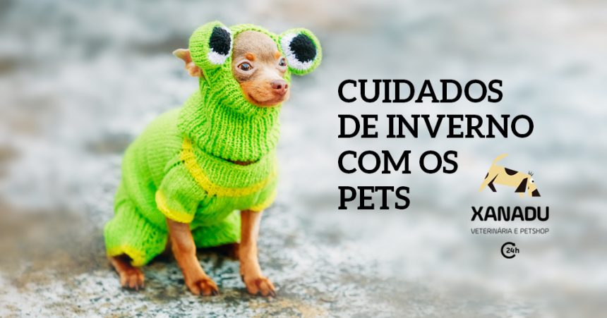 Cuidados de Inverno