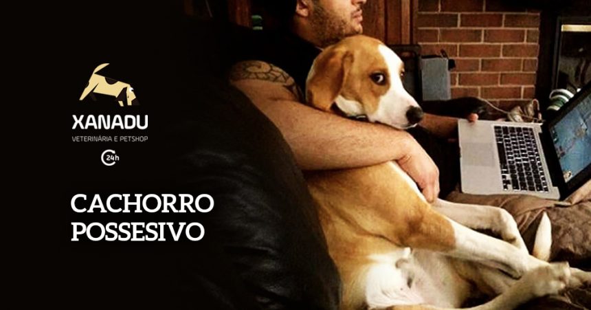 Cachorro possessivo