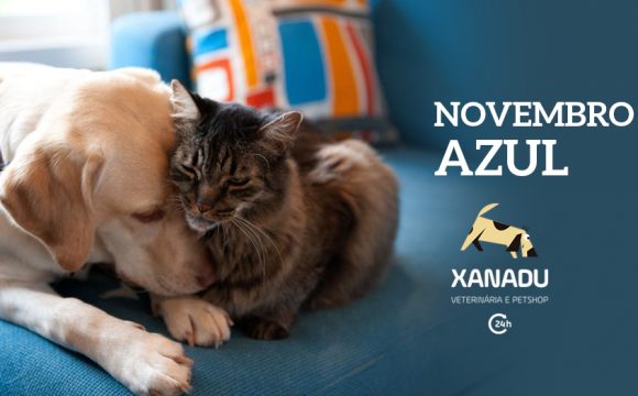 Novembro Azul PET: prevenindo o câncer de próstata em cães e gatos machos