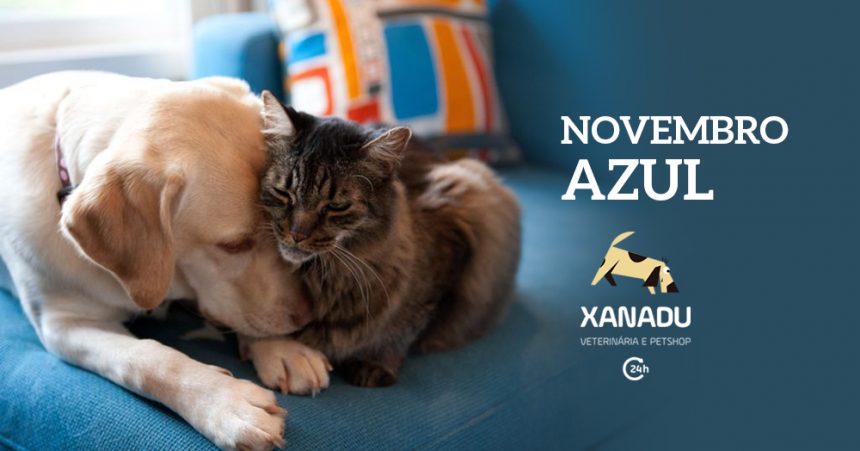 Novembro Azul PET: prevenindo o câncer de próstata em cães e gatos machos