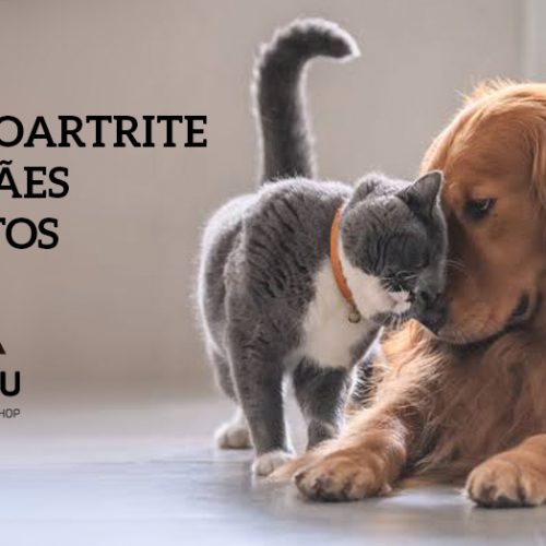 Osteoartrite em cães e gatos