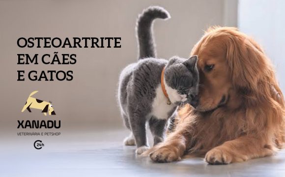 Osteoartrite em cães e gatos