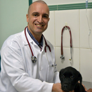 Dr. Maurício Pinheiro