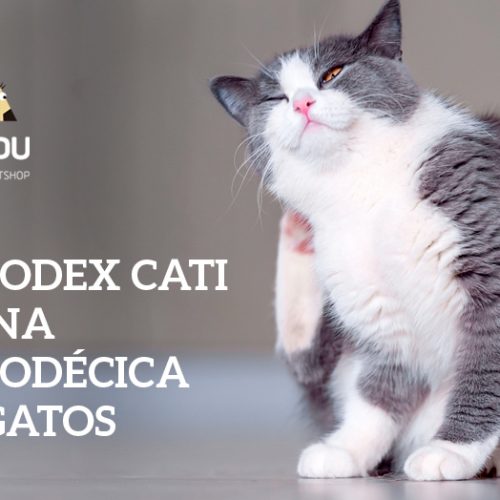 Demodex cati – Sarna Demodécica em gatos