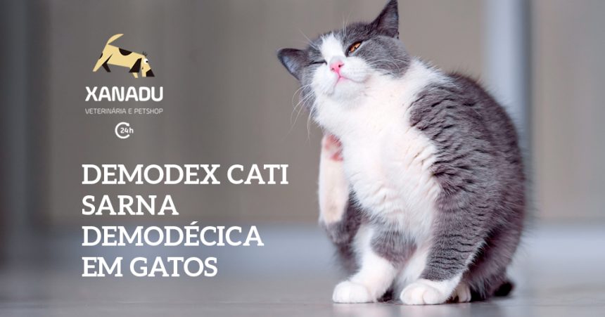 Demodex cati – Sarna Demodécica em gatos